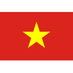越南队标